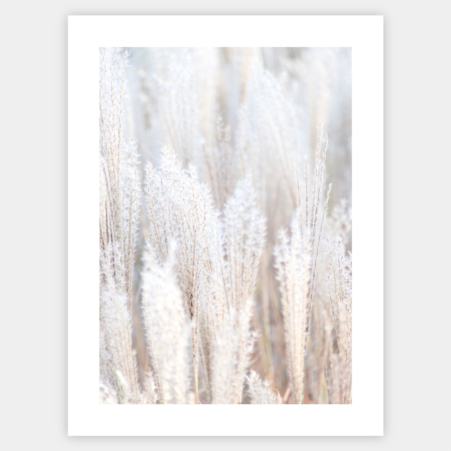 Boho plakát s fotografií suché trávy