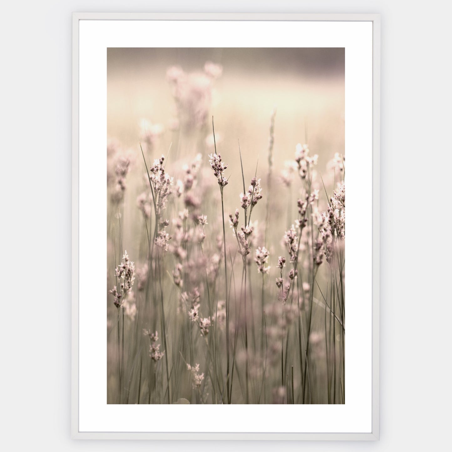 Boho plakát s fotografií kvetoucí trávy