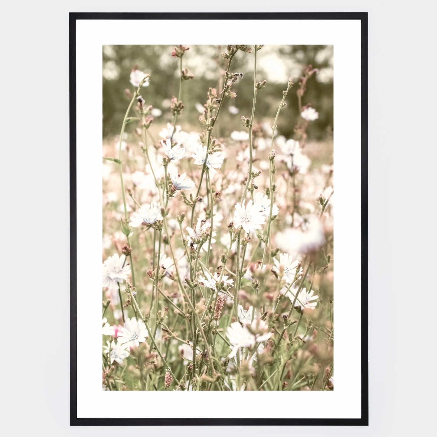 Boho poster with a photo of a blooming meadow