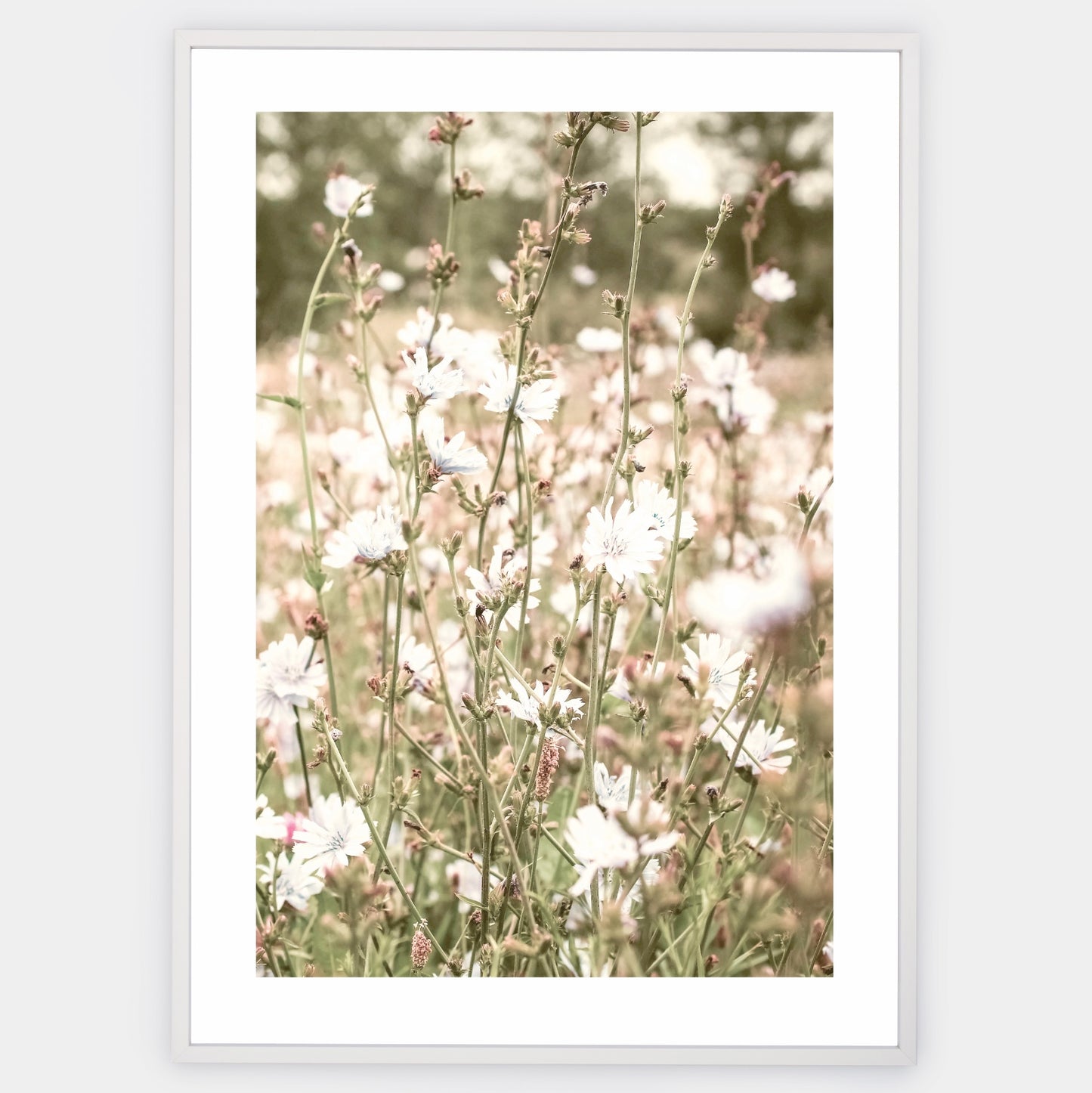 Boho poster with a photo of a blooming meadow