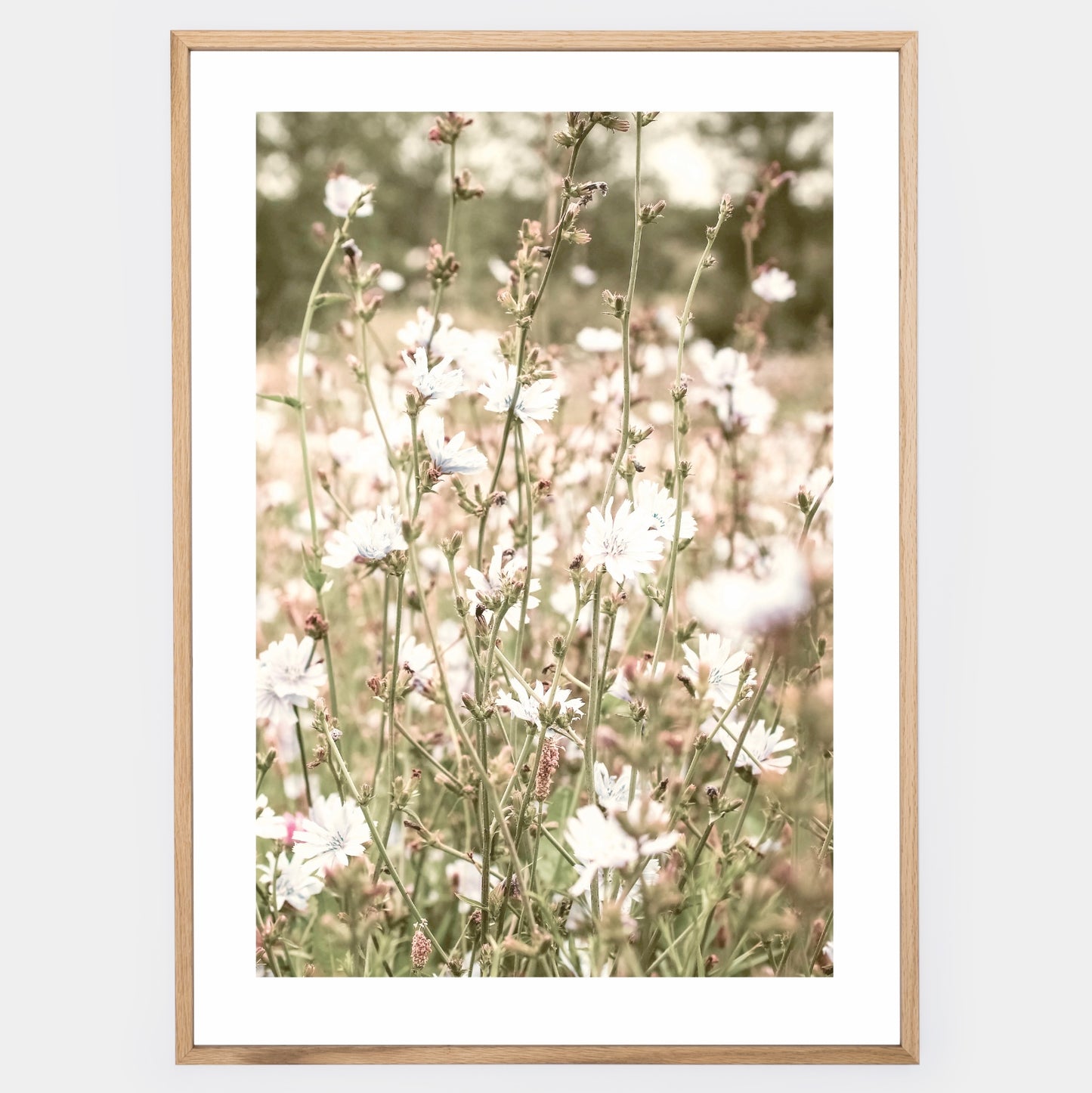 Boho poster with a photo of a blooming meadow