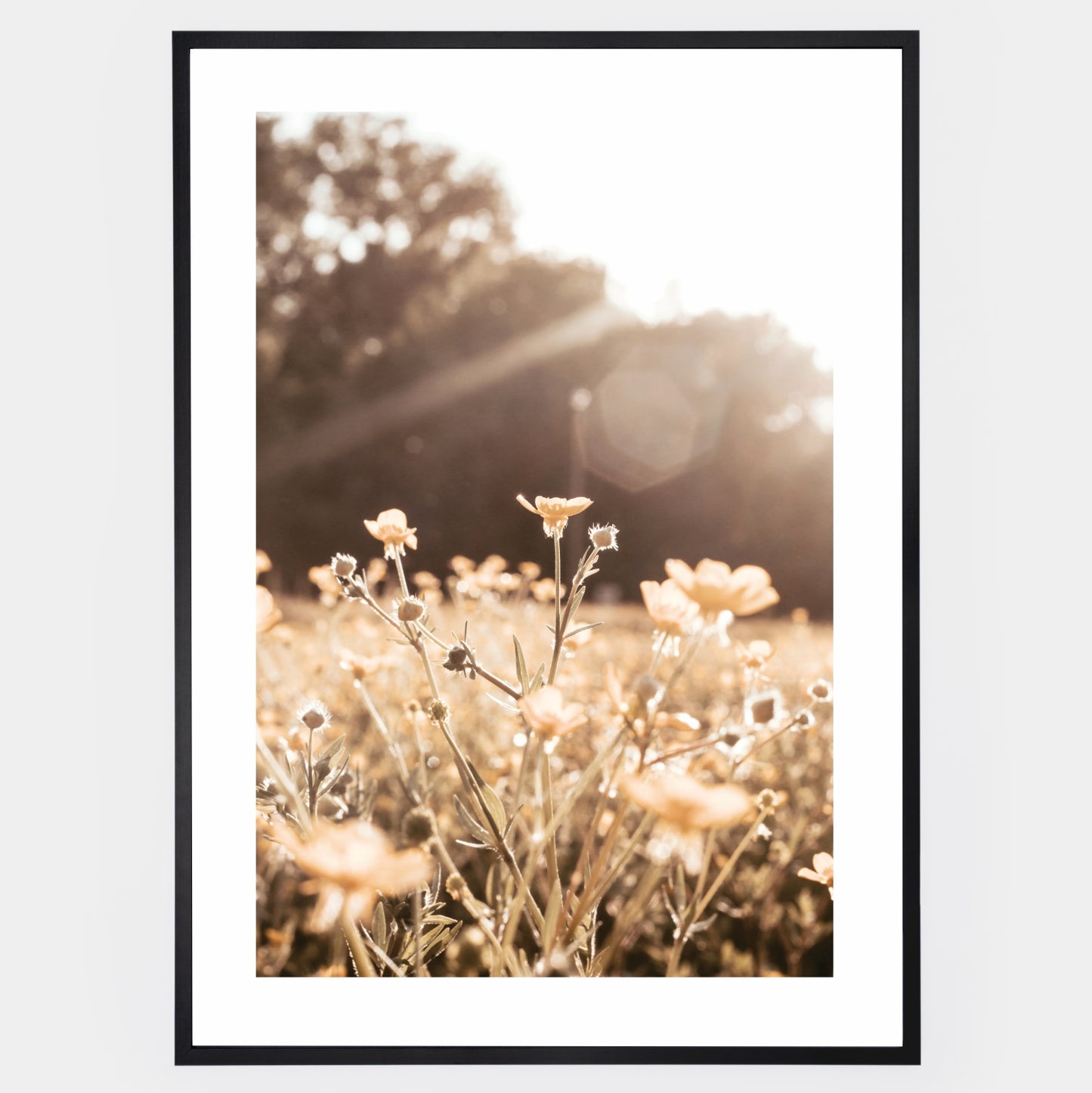 Boho plakát s fotografií lučních květin při západu slunce