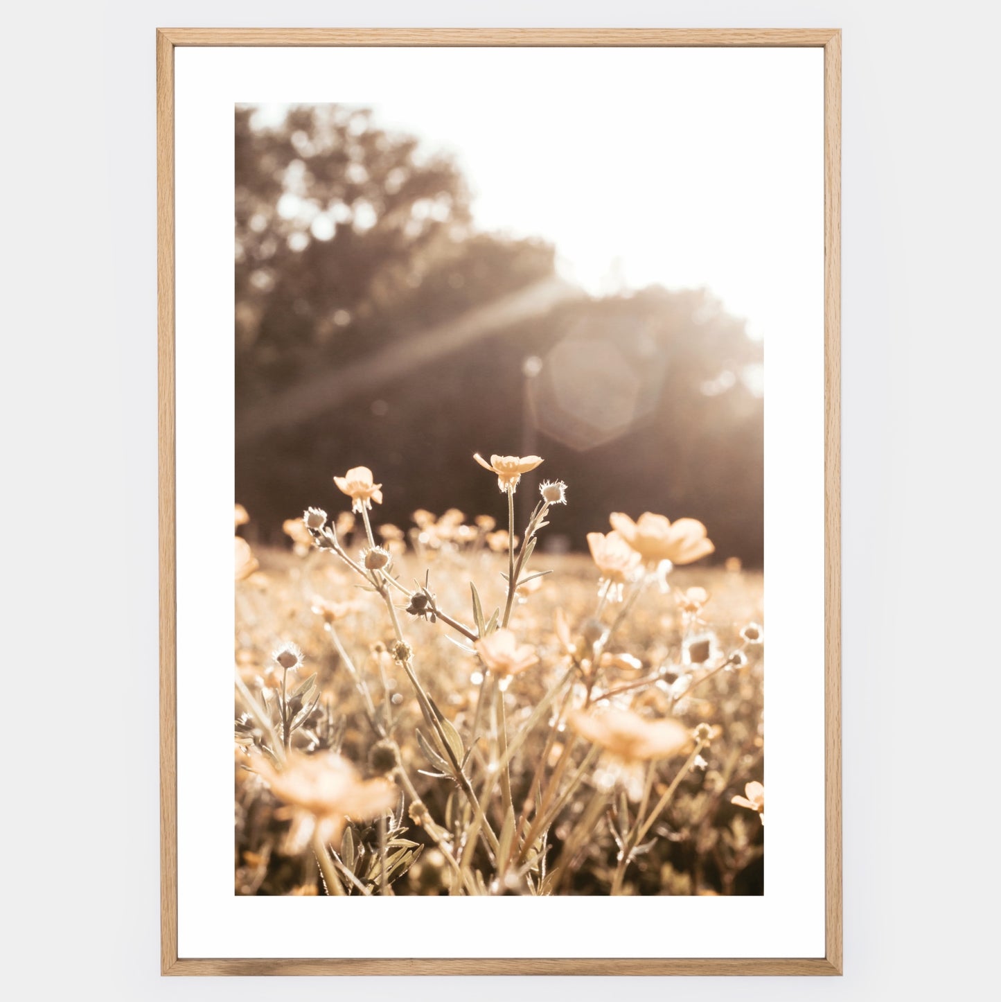 Boho plakát s fotografií lučních květin při západu slunce