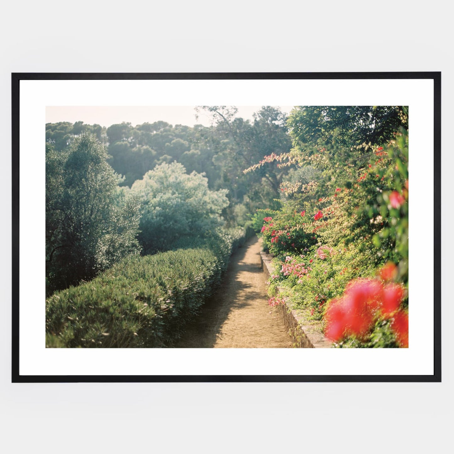Poster On the Path to Beauty