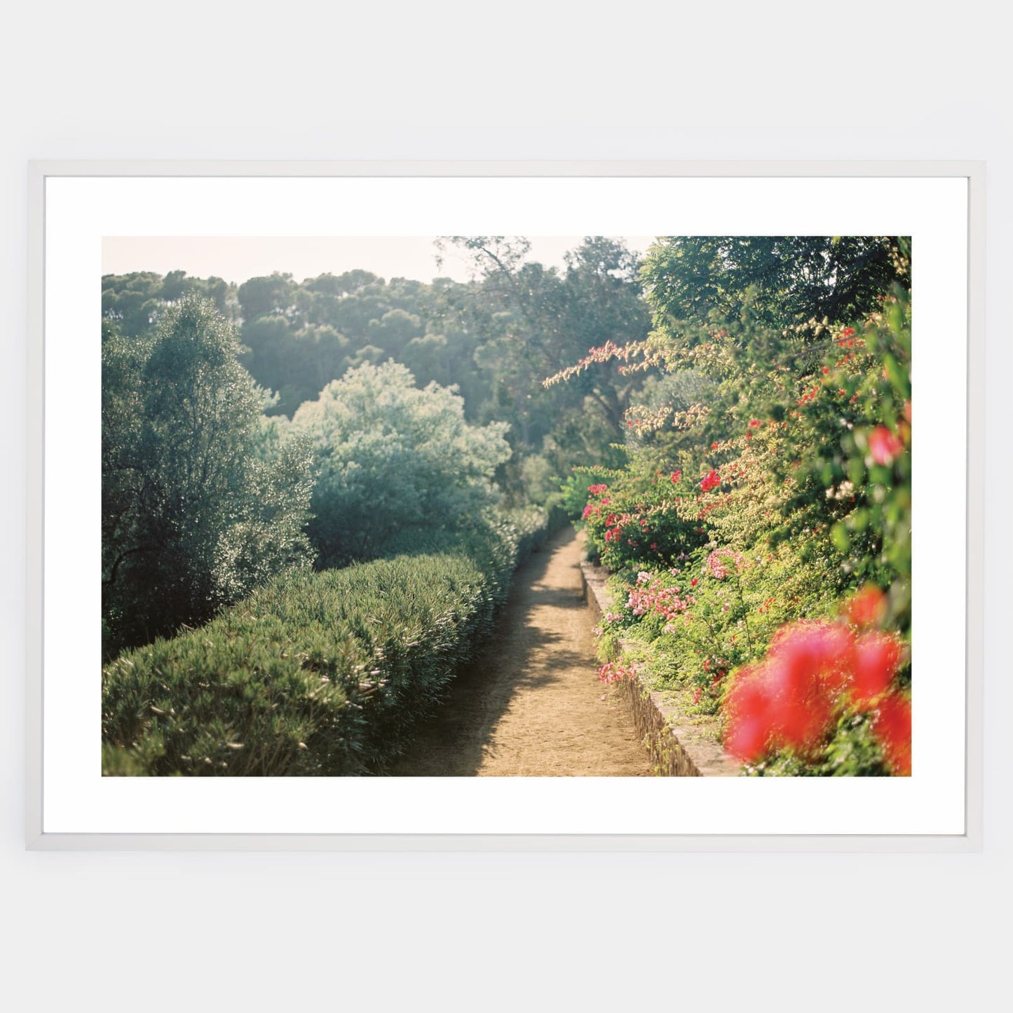 Poster On the Path to Beauty