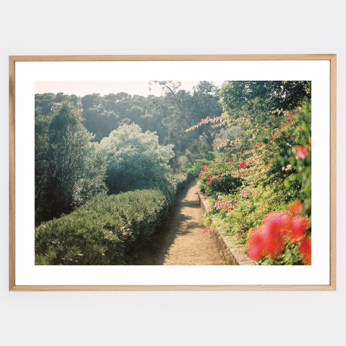 Poster On the Path to Beauty