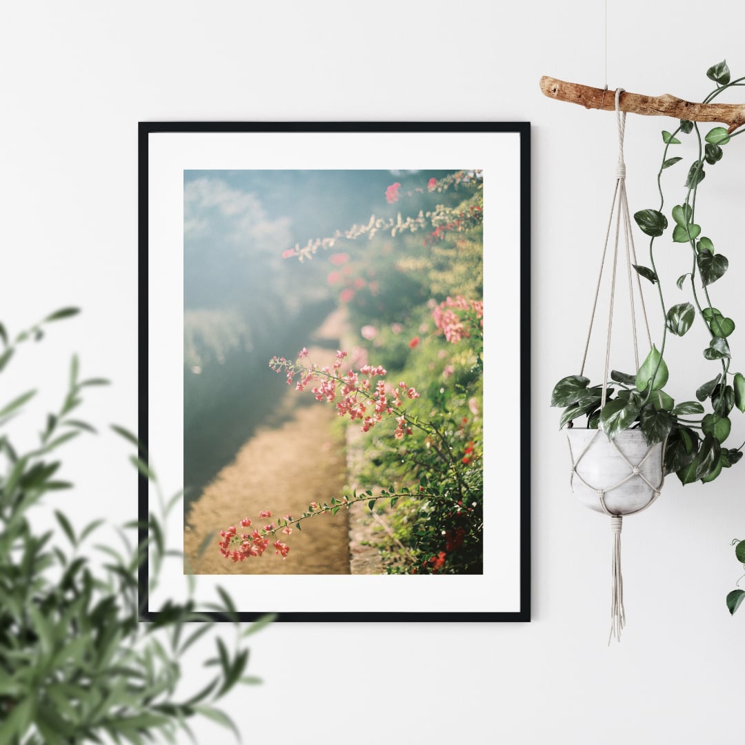 Beauty in Detail Poster