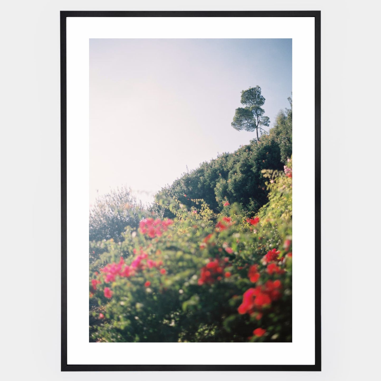Peaceful rendition poster