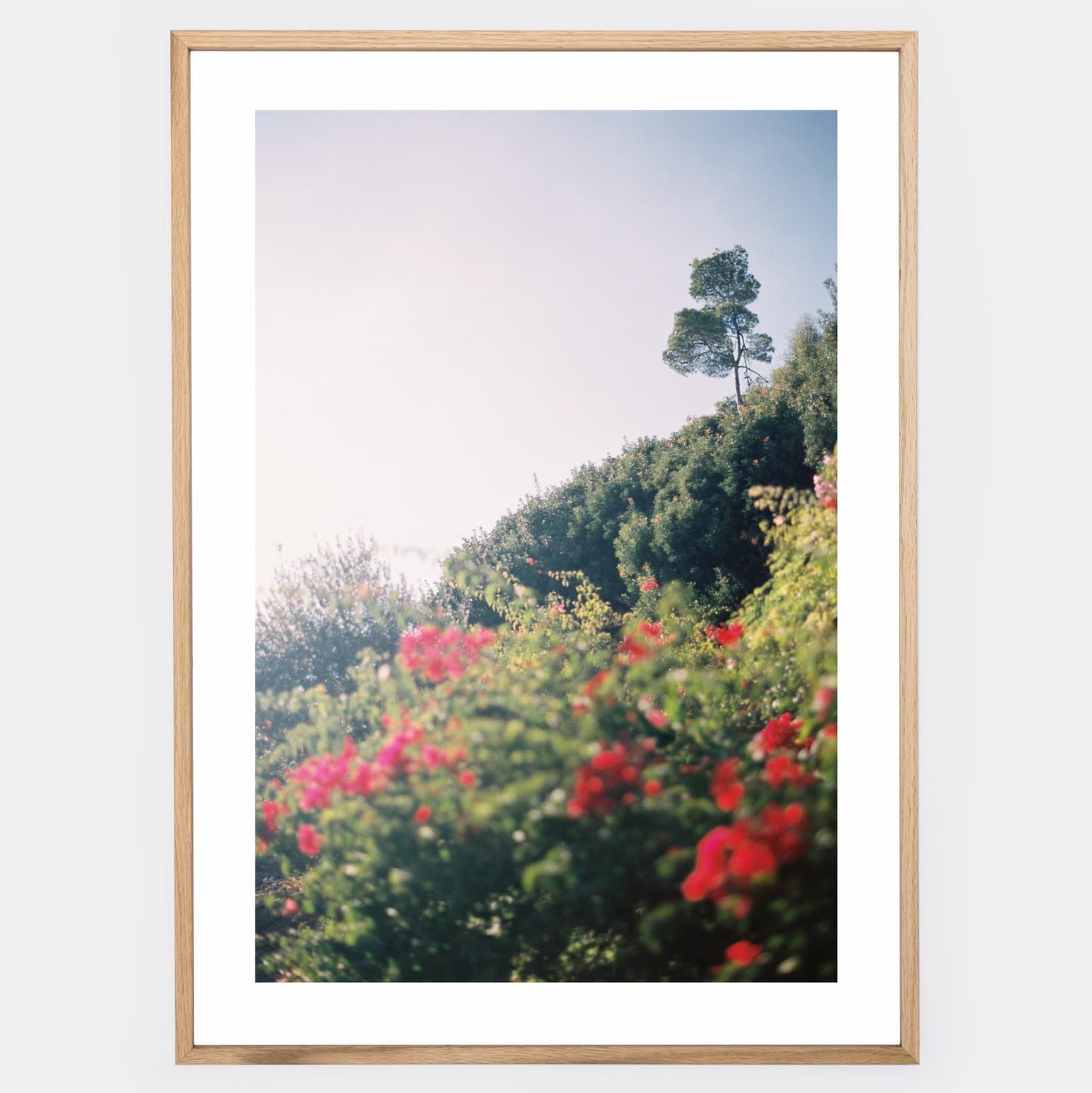 Peaceful rendition poster