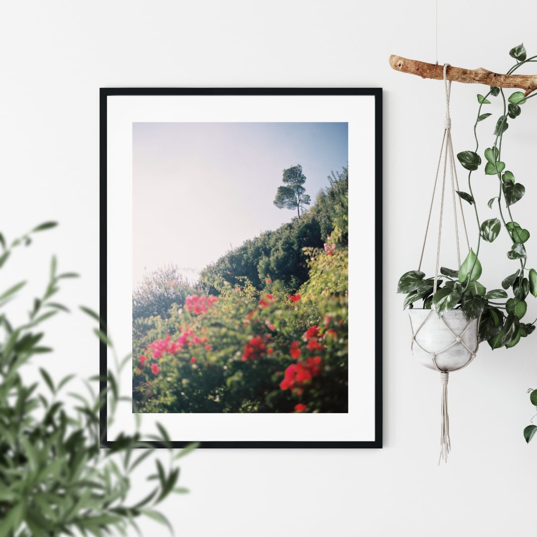 Peaceful rendition poster