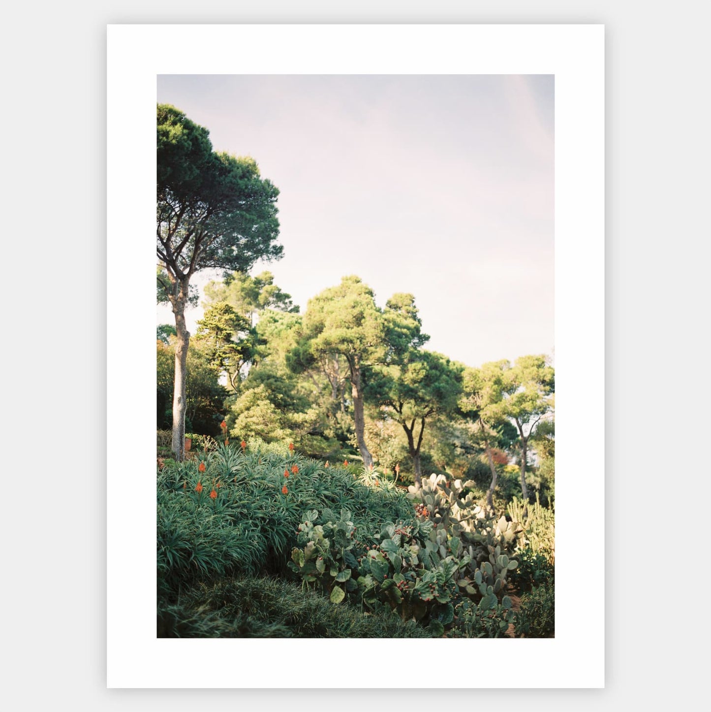 Enchanting Nature Poster
