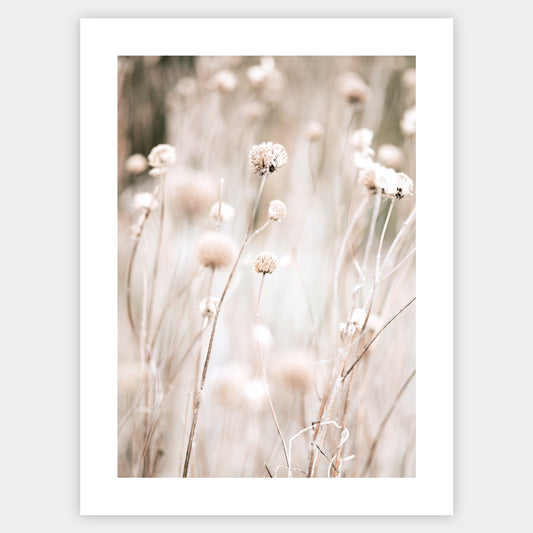 Boho plakát s fotografií podzimní louky