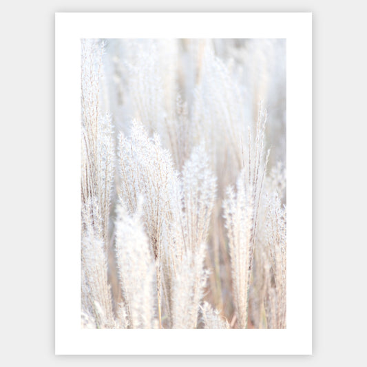 Boho plakát s fotografií suché trávy