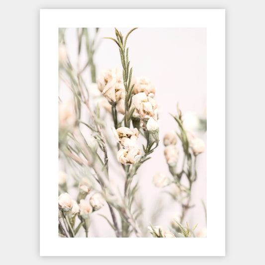 Boho plakát s fotografií louky