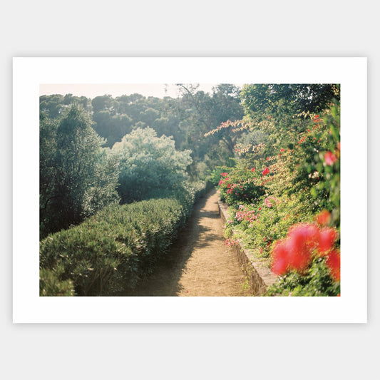 Poster On the Path to Beauty