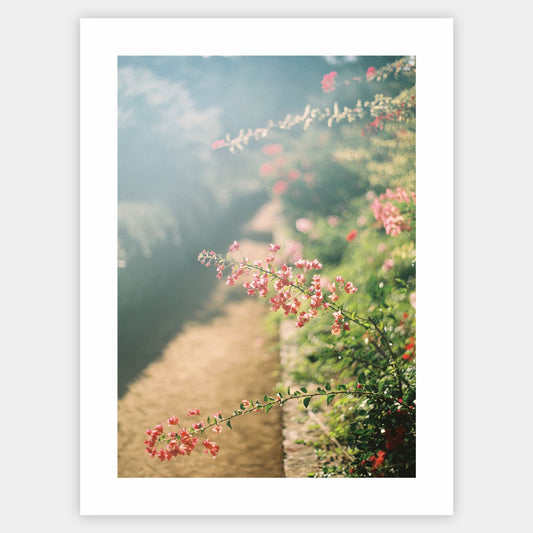 Beauty in Detail Poster