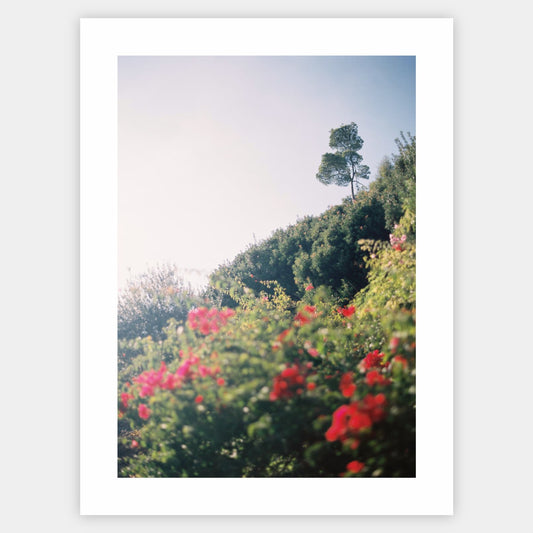 Peaceful rendition poster